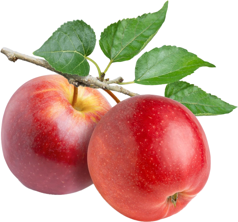 Apple cider vinegar