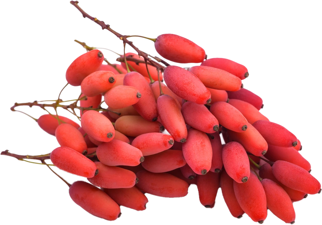 Berberine HCL