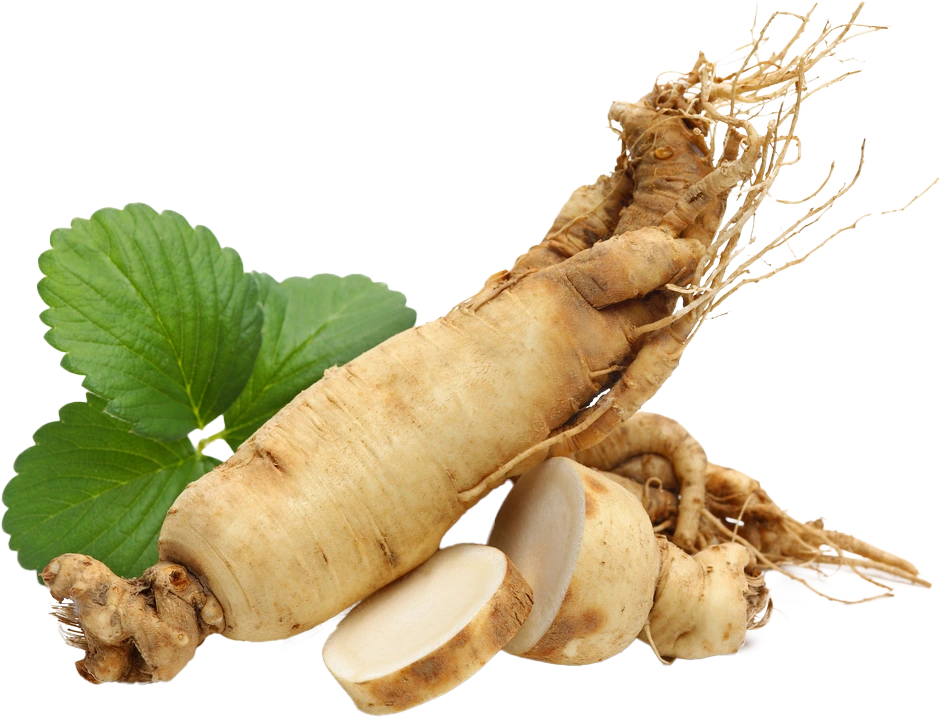 Korean ginseng